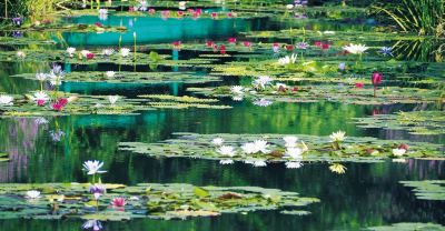 ホテル周辺 ザ クラウンパレス新阪急高知の写真