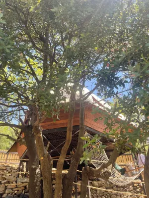 OWL NEST - LUXURIOUS TREEHOUSE EXPERIENCE WITH OUTDOOR HOT TUB