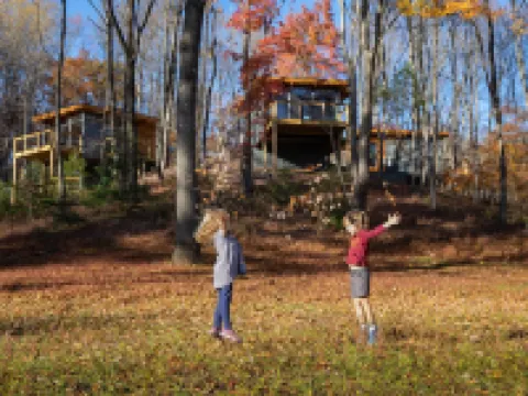 Piedmont Grove Hotels in Nelson County