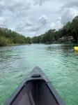 Walk to the Rainbow River.