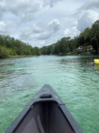 Paradise Near Rainbow River. Отели в г. Даннеллон