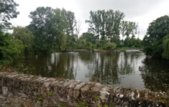 Repos au Bord de L'eau en Famille ou Seul Même Accompagné de vos Animaux