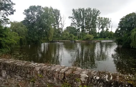 Repos au Bord de L'eau en Famille ou Seul Même Accompagné de vos Animaux
