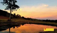 Willow Downs, Rustic Farm Stay