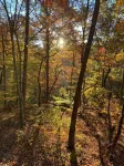 Cozy 2-bedroom cabin in awesome Blairsville with ac and wifi.