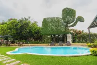 Hotel Mirador Plaza - piscine