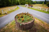 Gîte des Châteaux de la Loire, near Lamotte-Beuvron. Horses welcome! Hotels in Cour-Cheverny