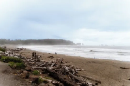 NEW - Downtown Forks, Hot Tub, Fire Pit, EV, Games