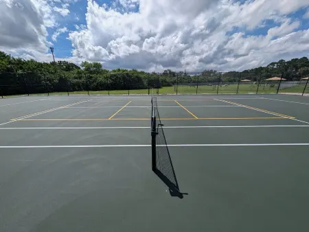 Large 4Bd 2BTH Pool Home with Waterfall Feature and Private Back Yard!