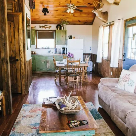 Perfect Cabin 5 minutes to Blanchard Springs Nat. Park