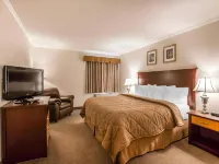 Quality Inn & Conference Centre Hotel di Red Deer