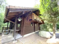 Chalet in La Bresse with Mountain Views
