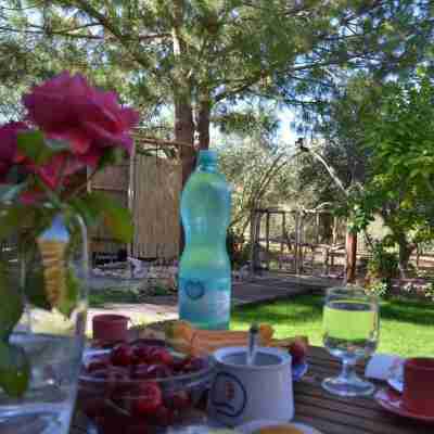 "La Dolce Vita" Comfortable holiday residence Hotel Exterior
