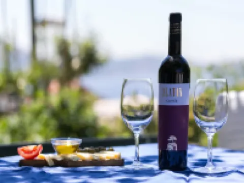 Apartments Olive - Comfort One Bedroom Apartment with Terrace and Sea View - Popolica 50