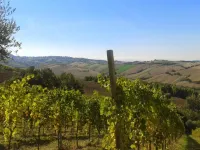 Farmhouse near Adriatic Sea with Pool Hotels in Fermo