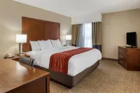 Comfort Inn & Suites Airport Hotels in 
