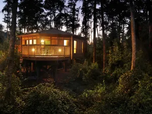 Disney's Saratoga Springs Resort & Spa