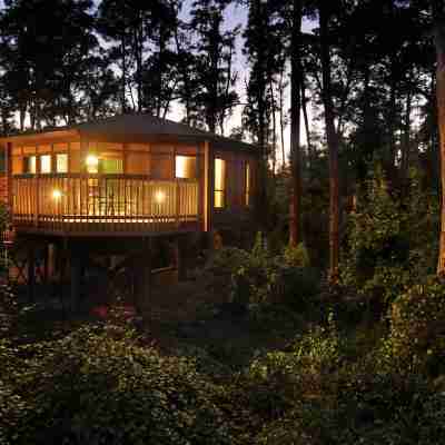 ディズニーズ サラトガ スプリングス リゾート & スパ Hotel Exterior