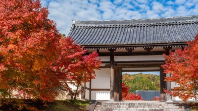 ホテル周辺 光信寺の湯　ゆっくらの写真