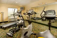 Holiday Inn Express & Suites LENOIR CITY (KNOXVILLE AREA) by IHG - Gym