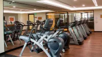 Holiday Inn & Suites PUERTO VALLARTA MARINA & GOLF by IHG - Gym