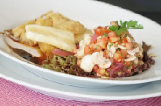 Gaia Collection Hotels