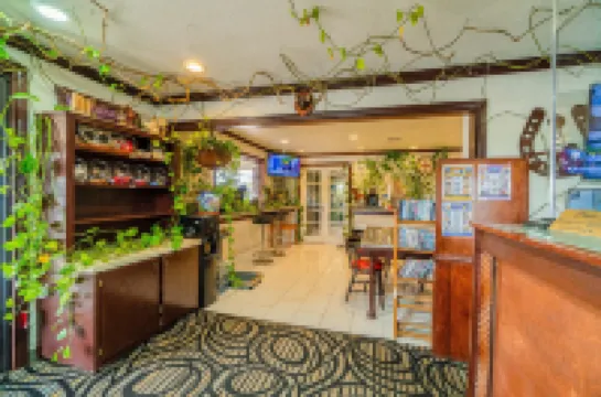 Purple Sage by OYO Snyder TX