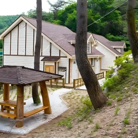 Wonju Sarichi Land in Forest Pension