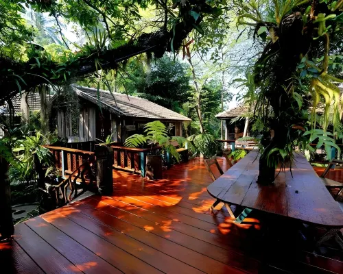 Fern Paradise Hotels in Amphoe San Sai