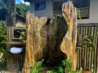 Pousada Raízes do Brasil Hotels in Trancoso