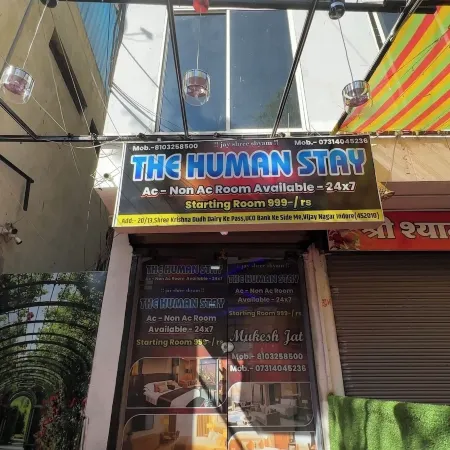 The Human Stay
