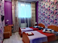 Alyonka Mini-Hotel 푸슈킨 호텔