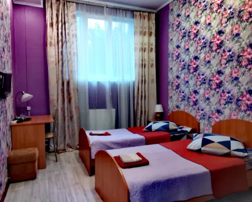 Alyonka Mini-Hotel 푸슈킨 호텔