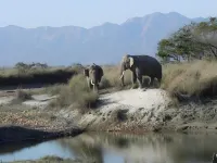 Racyshade Resort- Bardia National Park