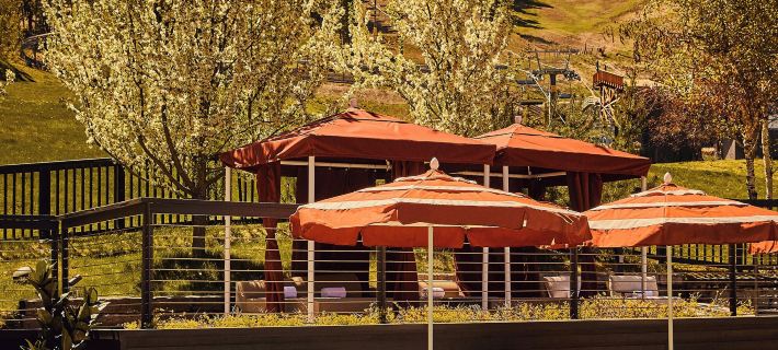 Trailborn Jackson Hole Hotels in Jackson