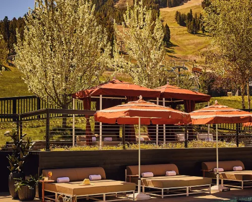 Trailborn Jackson Hole Hotel di Jackson