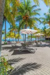 Honduras Shores Plantations - bar