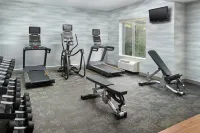 Fairfield Inn & Suites Anderson Clemson - Gym