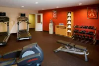 TownePlace Suites Houston North/Shenandoah - ジム