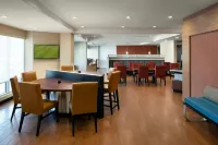 弗雷斯諾克洛維斯TownePlace Suites飯店 - 寵物友善