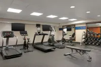 Hampton Inn Dubuque - Gym
