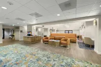 Hampton Inn & Suites Lancaster - Pet friendly