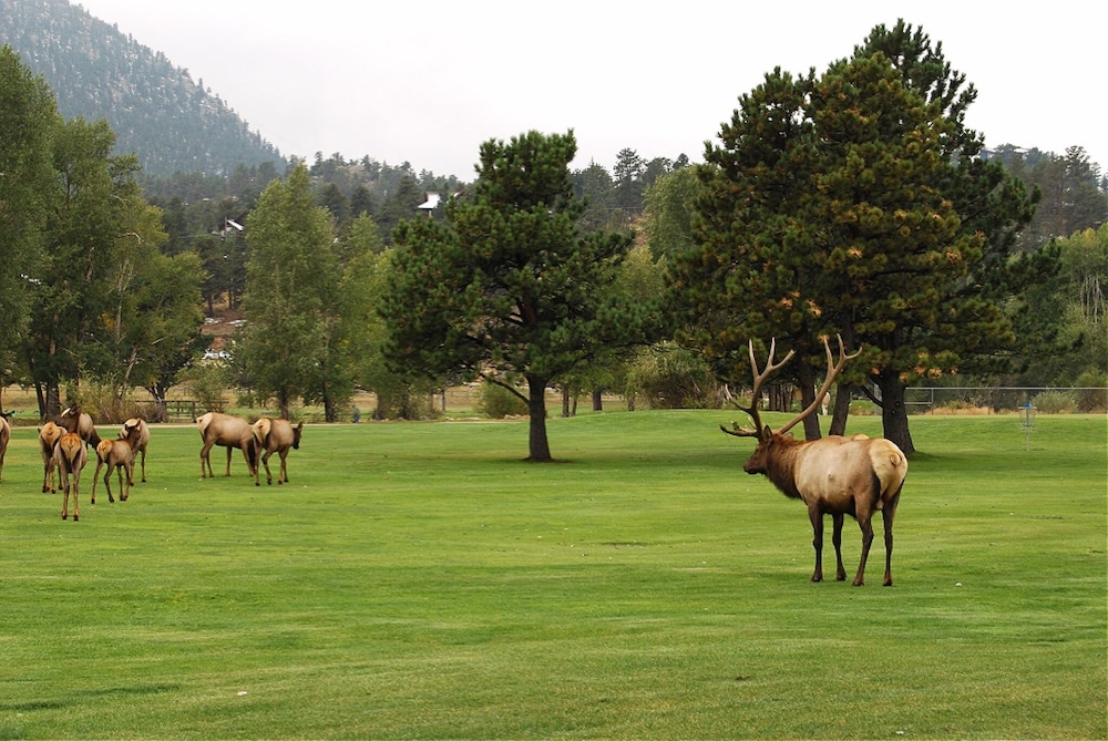 Coyote Mountain Lodge