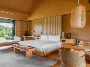 Amanemu