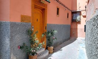 Riad Miral