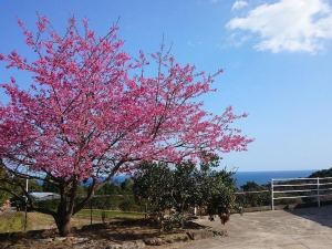 前岳莊民宿 - 青年旅舍