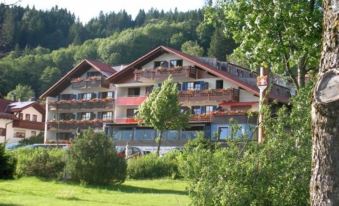 Hotel Geiger