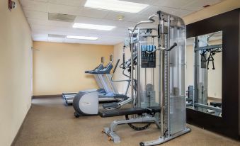 Homewood Suites by Hilton Austin - South/Airport