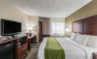 Comfort Inn Medford-Long Island