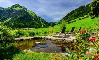 a serene outdoor scene with a hot tub , lounge chairs , and mountains in the background at Hotel Steinbock